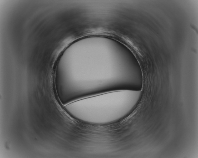 X0000097501463200802220830