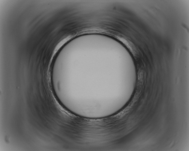 X0000097501466200802220830