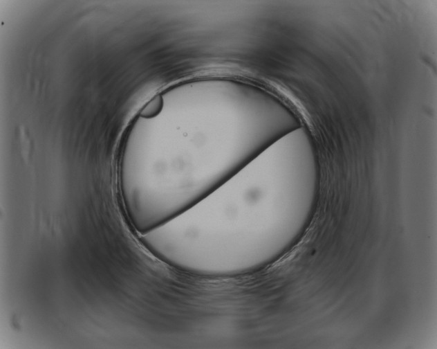 X0000097501467200802220830