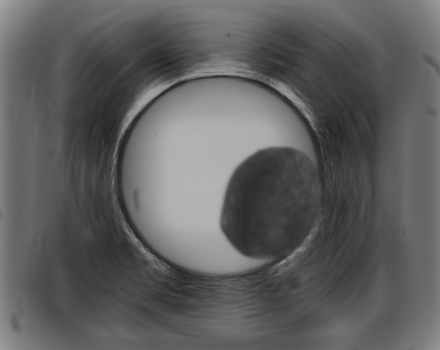 X0000097501469200802220830