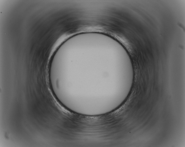 X0000097501470200802220830