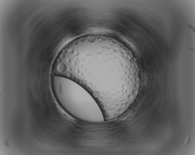 X0000097501471200802220830