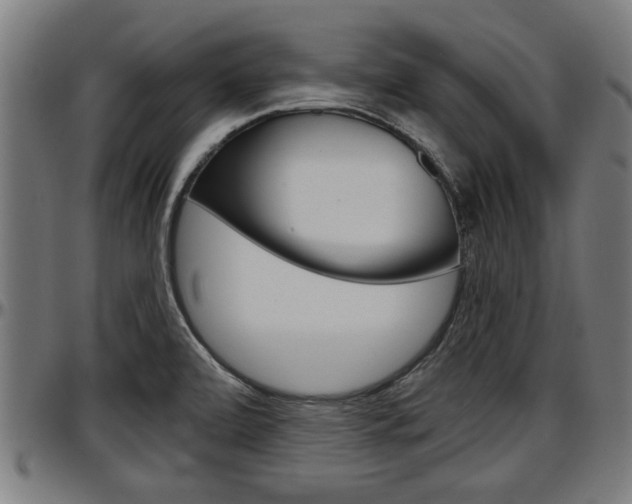 X0000097501472200802220830