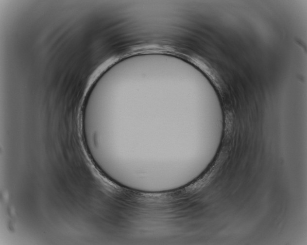 X0000097501474200802220830