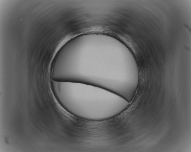 X0000097501475200802220830