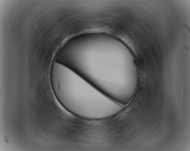 X0000097501476200802220830