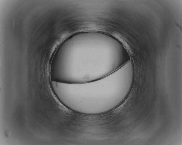 X0000097501477200802220829
