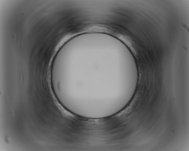 X0000097501478200802220829