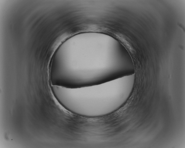 X0000097501479200802220829