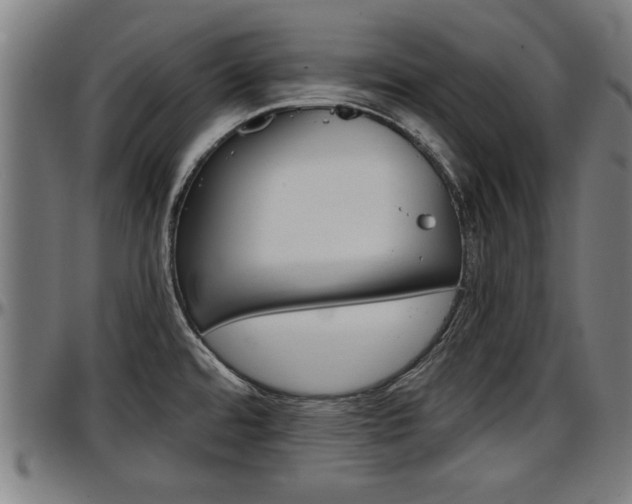 X0000097501480200802220829
