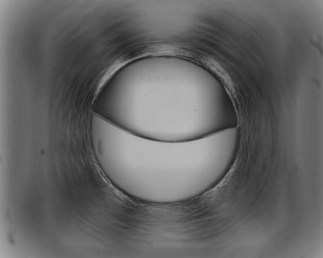 X0000097501481200802220829