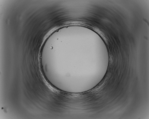 X0000097501482200802220829