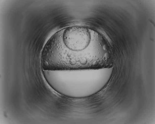 X0000097501483200802220829