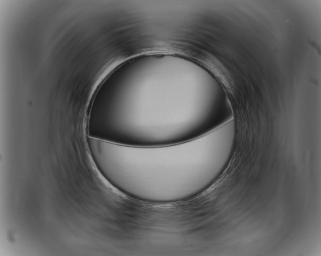 X0000097501484200802220829