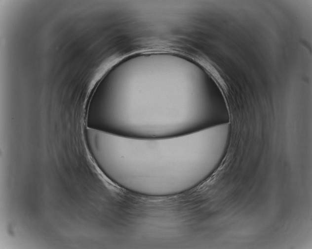 X0000097501485200802220829
