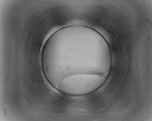 X0000097501486200802220829