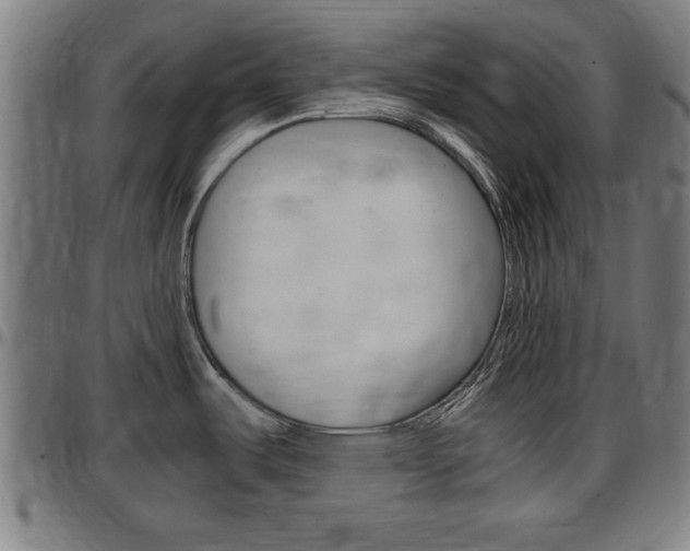 X0000097501487200802220829
