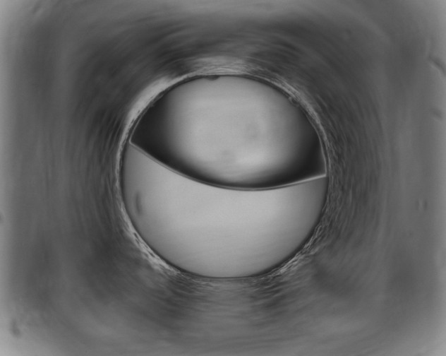 X0000097501488200802220829