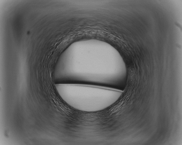 X0000097501489200802220829