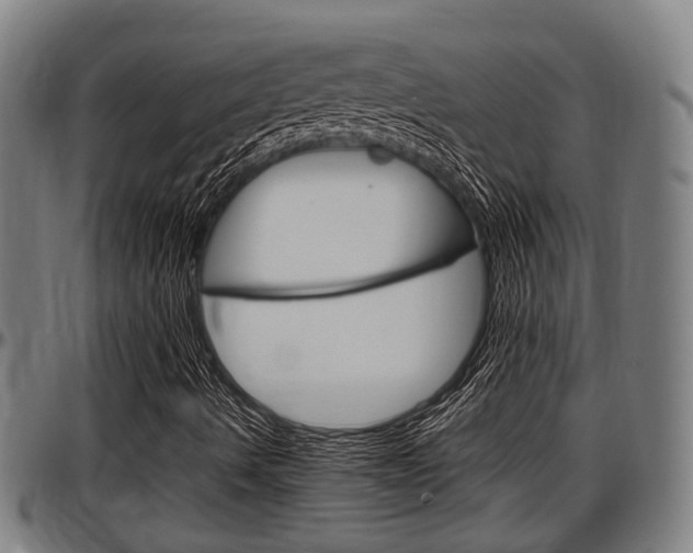 X0000097501490200802220829