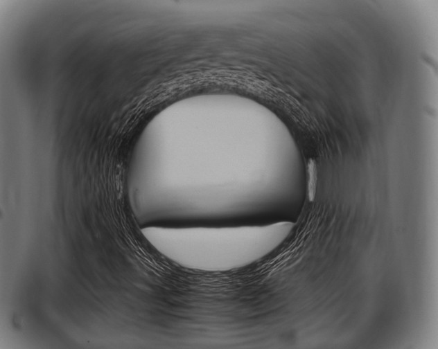 X0000097501491200802220829
