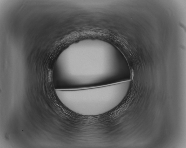 X0000097501492200802220829