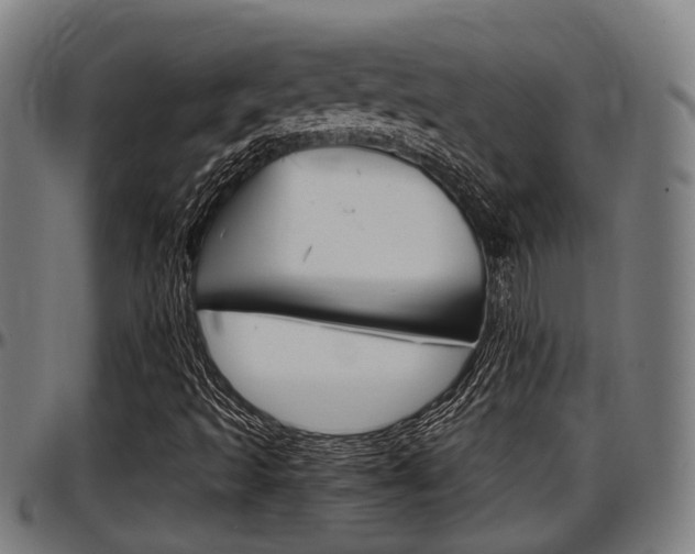 X0000097501493200802220829