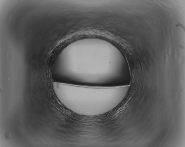 X0000097501494200802220829