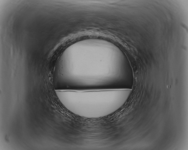 X0000097501495200802220829