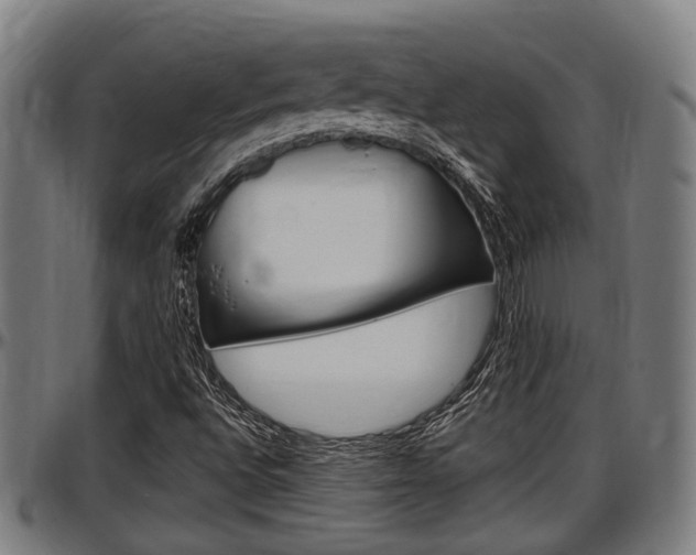 X0000097501496200802220829