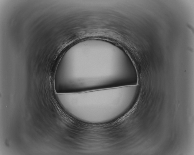 X0000097501497200802220829