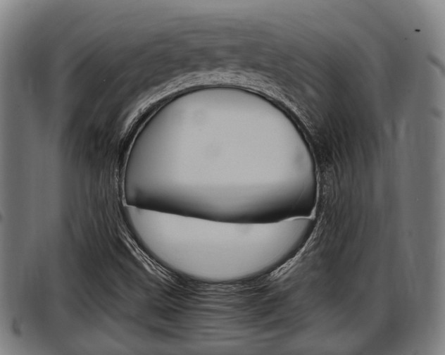X0000097501499200802220829