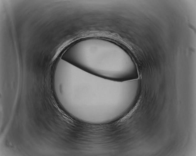 X0000097501501200802220829