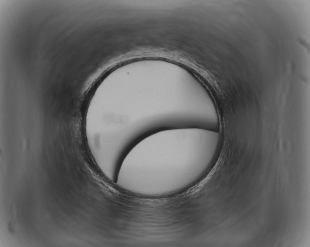 X0000097501502200802220829