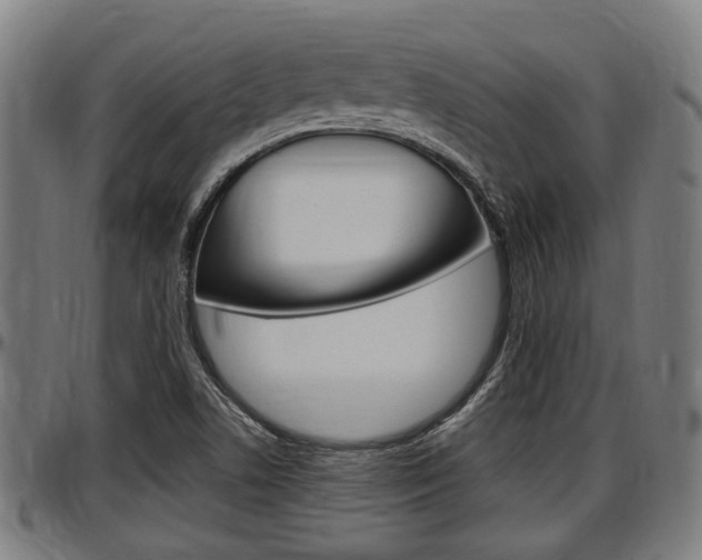X0000097501506200802220829