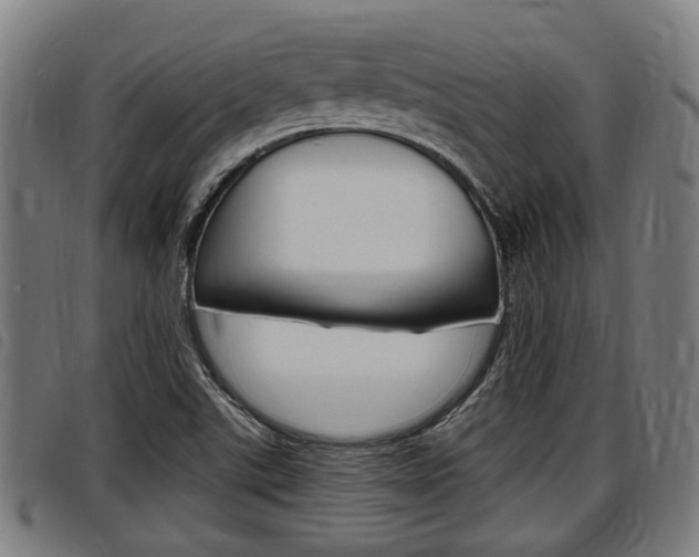 X0000097501507200802220829