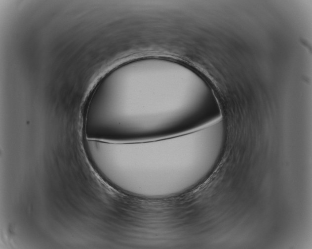 X0000097501508200802220829