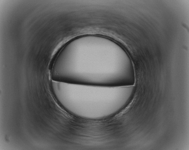 X0000097501509200802220829