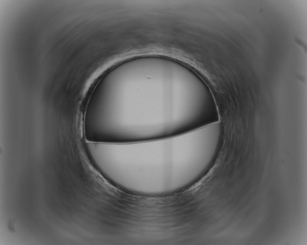 X0000097501510200802220829