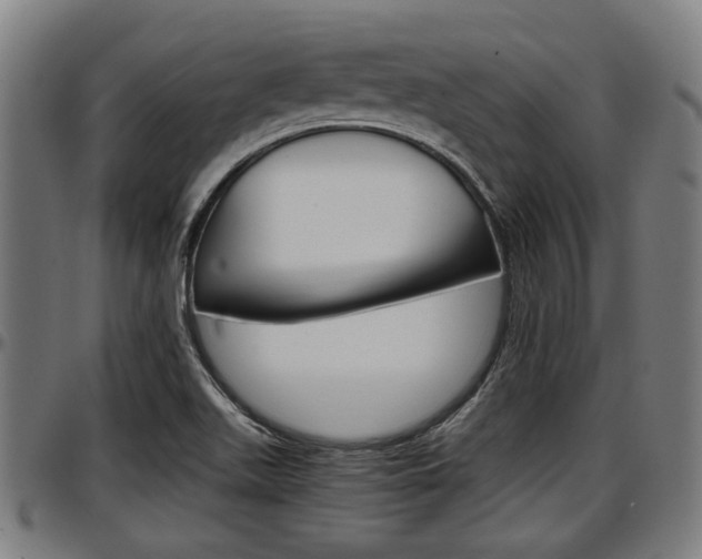 X0000097501511200802220829