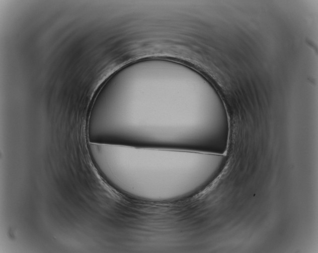 X0000097501513200802220829
