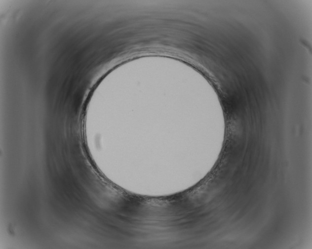 X0000097501514200802220829