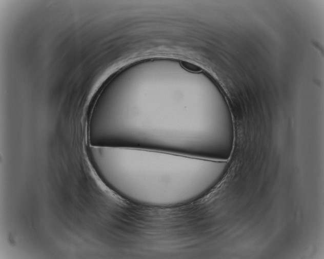 X0000097501515200802220829