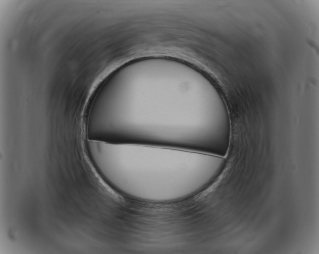 X0000097501517200802220829