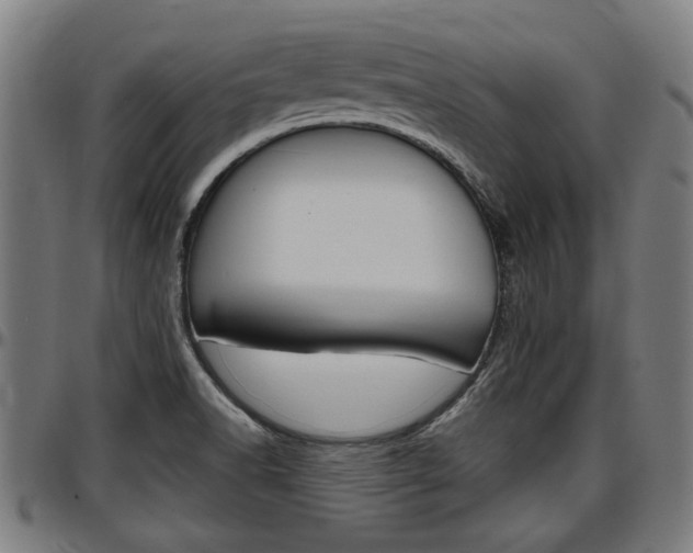 X0000097501518200802220829