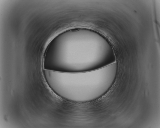 X0000097501520200802220829