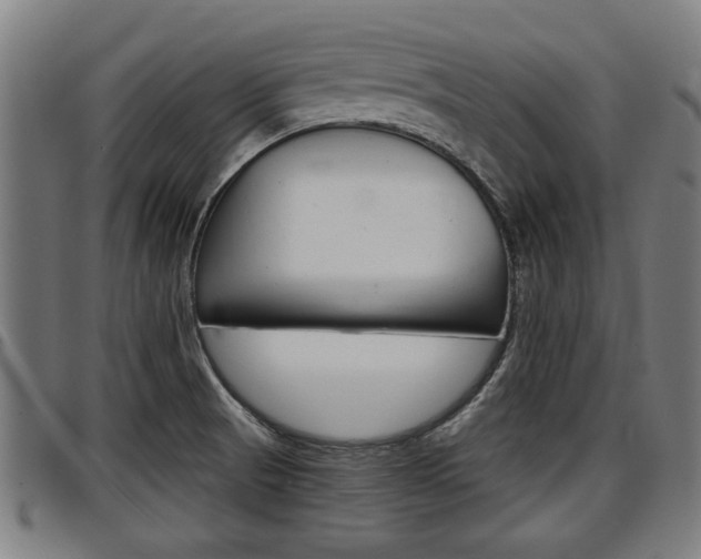 X0000097501521200802220829