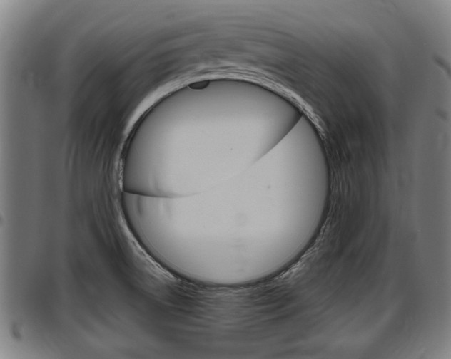 X0000097501522200802220829