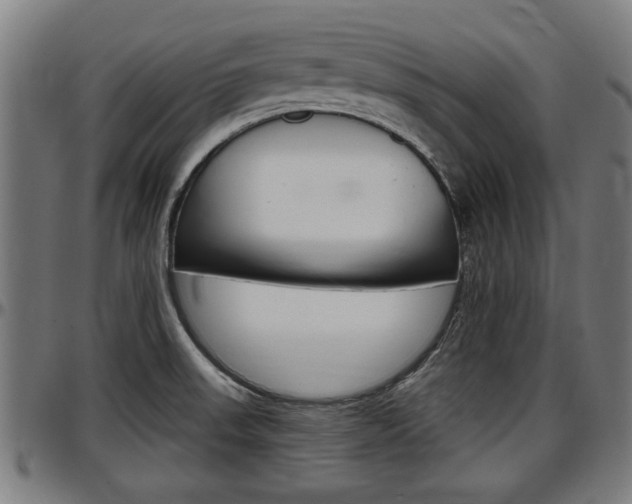 X0000097501523200802220829