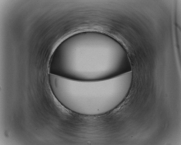 X0000097501524200802220829